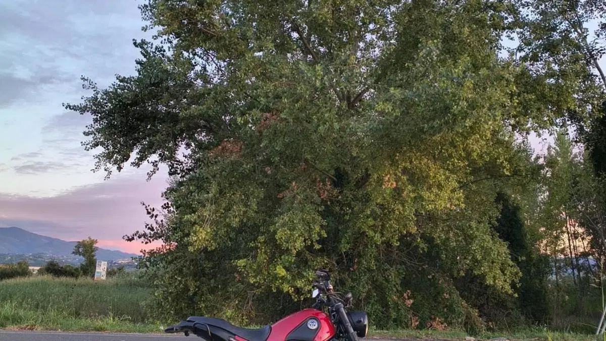 Benelli Leoncino 500 Trail ABS (2017 - 20)  (4)