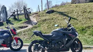 Suzuki GSX S 1000 F ABS (2017 - 20)  (11)