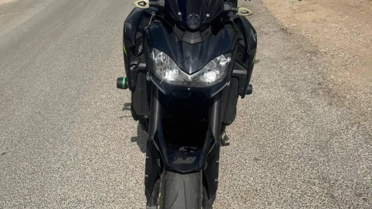 Kawasaki Z 900 (2019) 