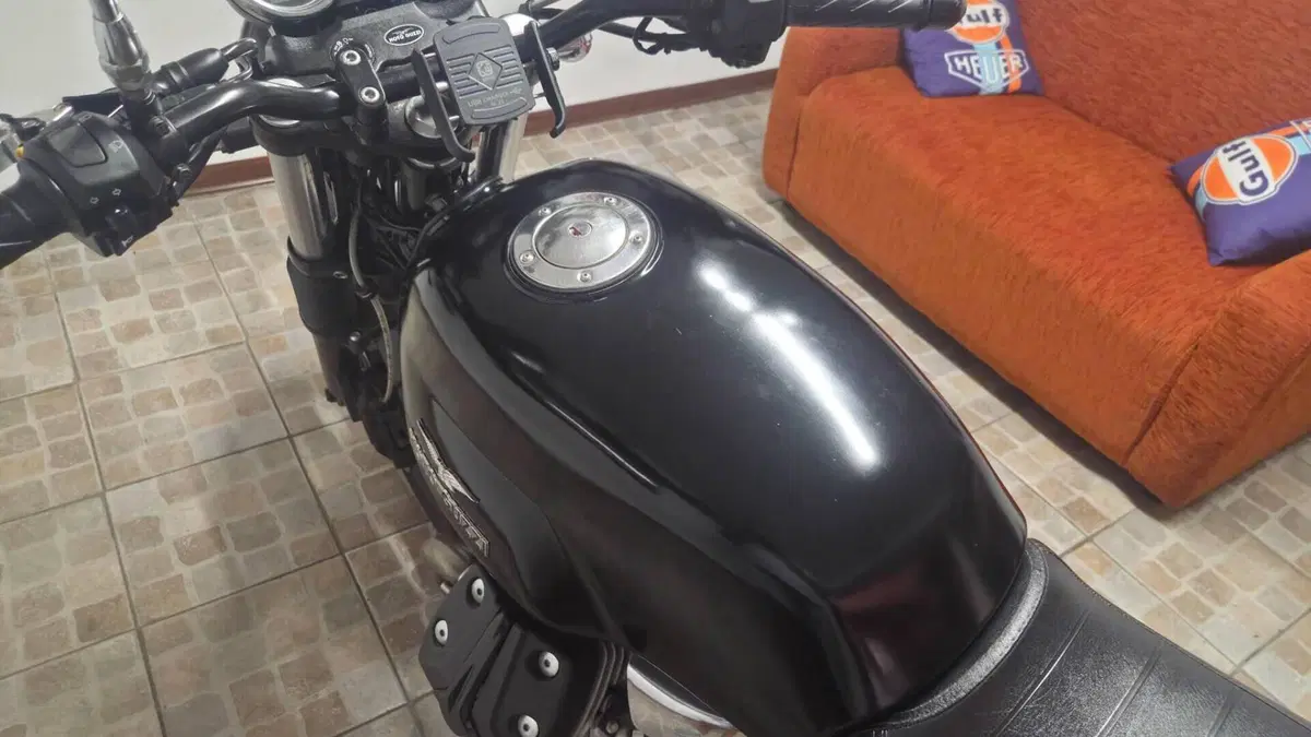 Moto Guzzi V7 Classic (2008 - 12)  (6)