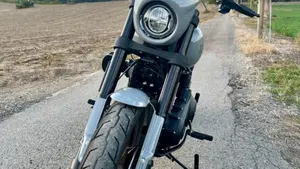 Harley-Davidson Low Rider S (2022 - 24)  (4)