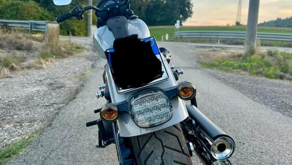 Harley-Davidson Low Rider S (2022 - 24)  (5)