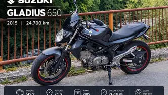 Suzuki Gladius 650 SFV (2009 - 15) usata