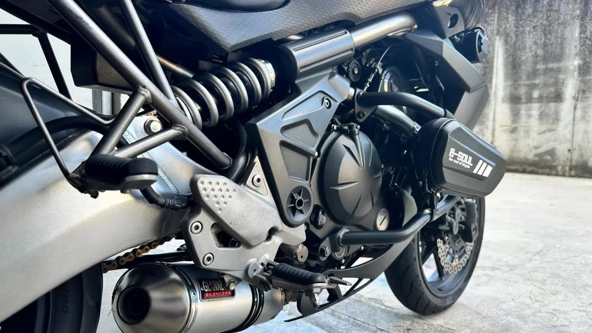Kawasaki Versys 650 (2010 - 13)  (11)