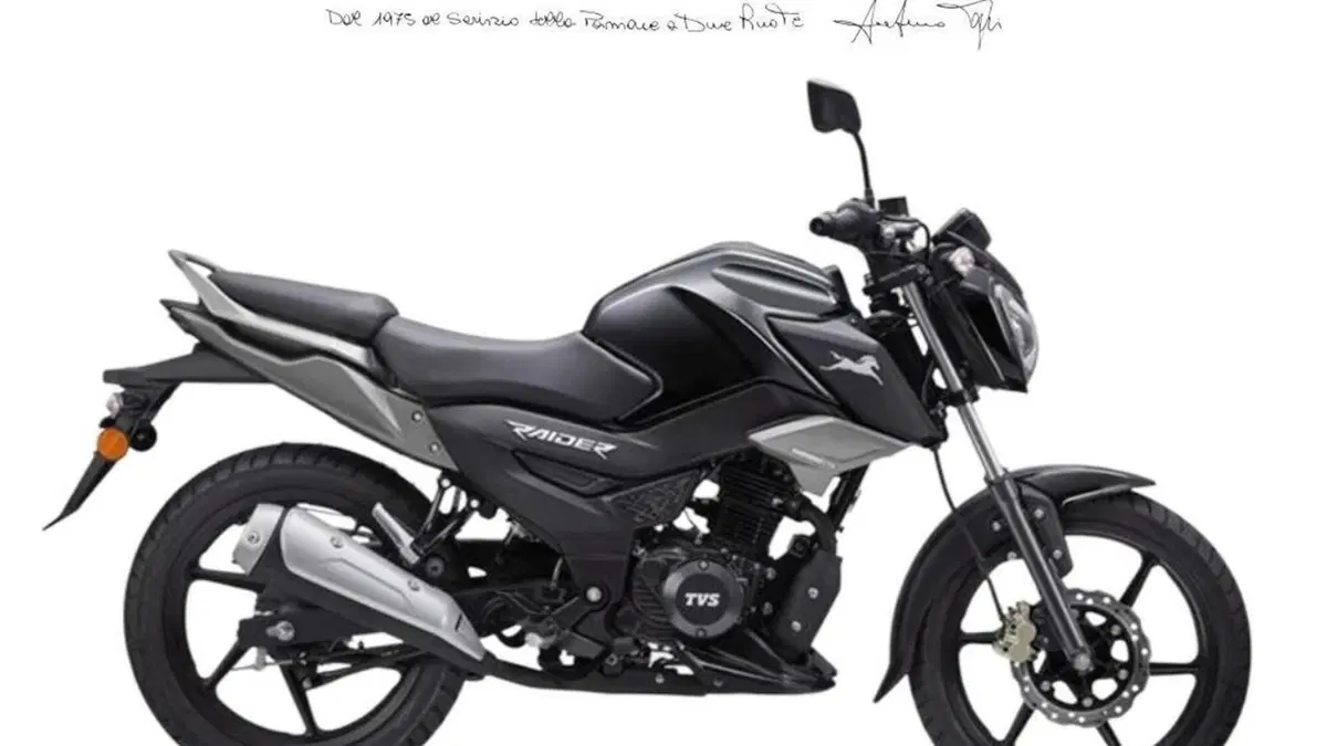 TVS Motor Raider 125 (2024 - 26) 