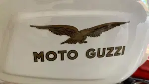 Moto Guzzi   (4)