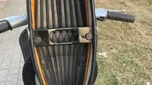 Piaggio   (8)