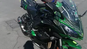 Kawasaki Ninja 1000 SX (2021 - 24)  (4)