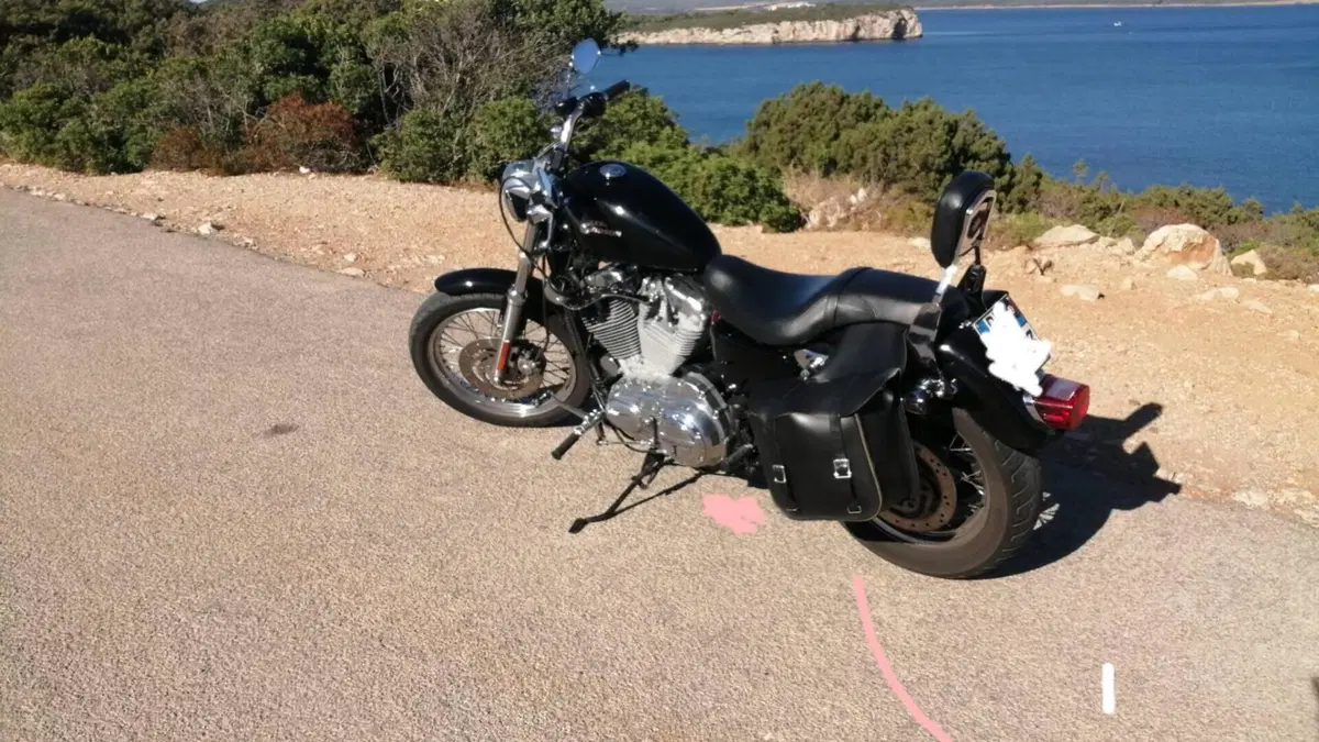 Harley-Davidson 883 Low (2006 - 07) - XL 883L  (6)
