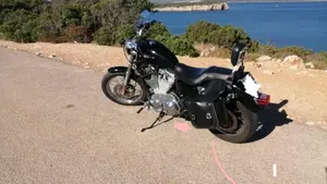 Harley-Davidson 883 Low (2006 - 07) - XL 883L  (6)