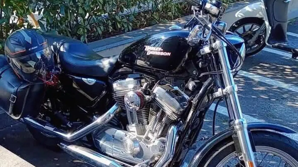 Harley-Davidson 883 Low (2006 - 07) - XL 883L  (7)