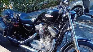 Harley-Davidson 883 Low (2006 - 07) - XL 883L  (7)