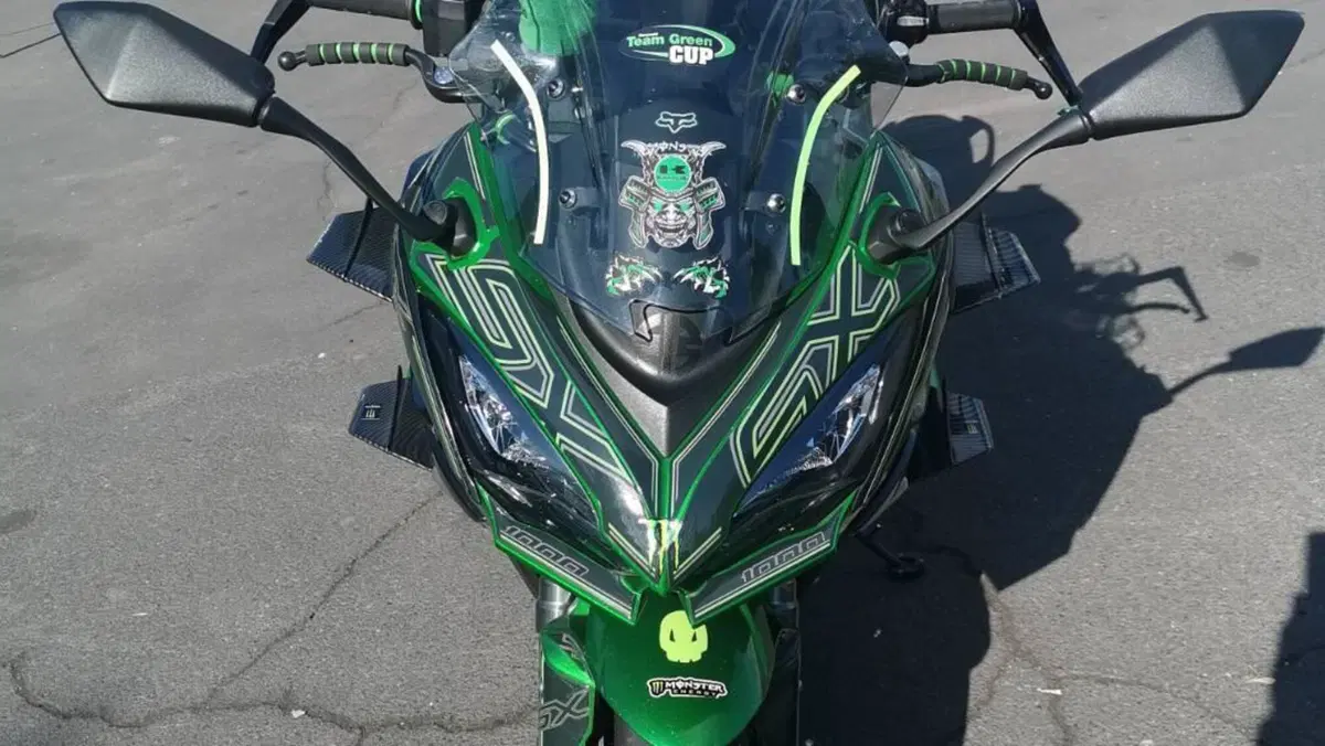 Kawasaki Ninja 1000 SX (2021 - 24)  (5)