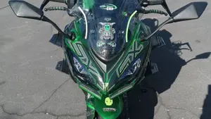 Kawasaki Ninja 1000 SX (2021 - 24)  (5)