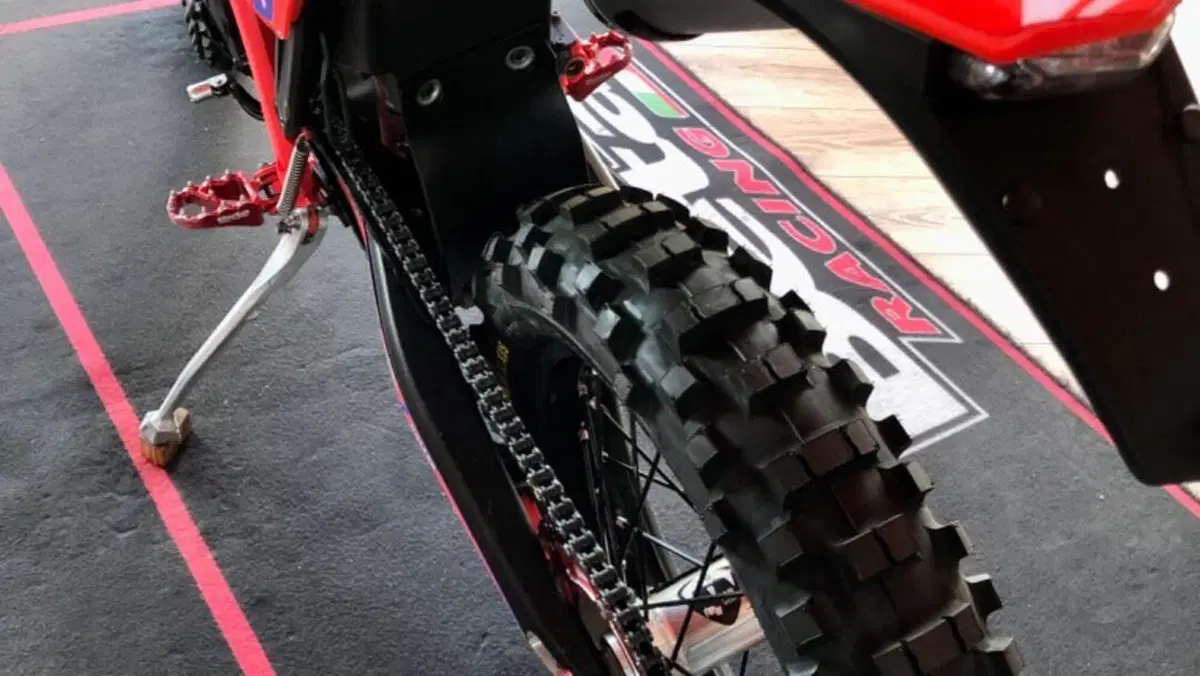 Betamotor RR 300 2T Enduro Race (2025)  (4)