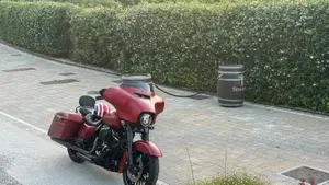 Harley-Davidson 114 Street Glide Special (2019 - 20) - FLHXS  (15)