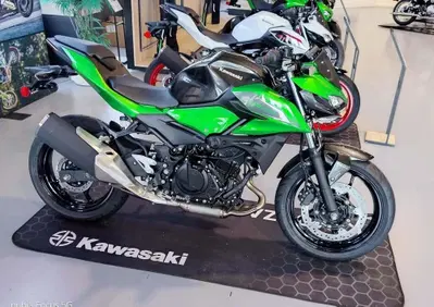 Kawasaki Z 500 (2024 - 26) - Annuncio 10102524