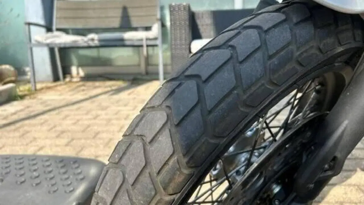 Ducati Scrambler 800 Classic (2017 - 18)  (3)