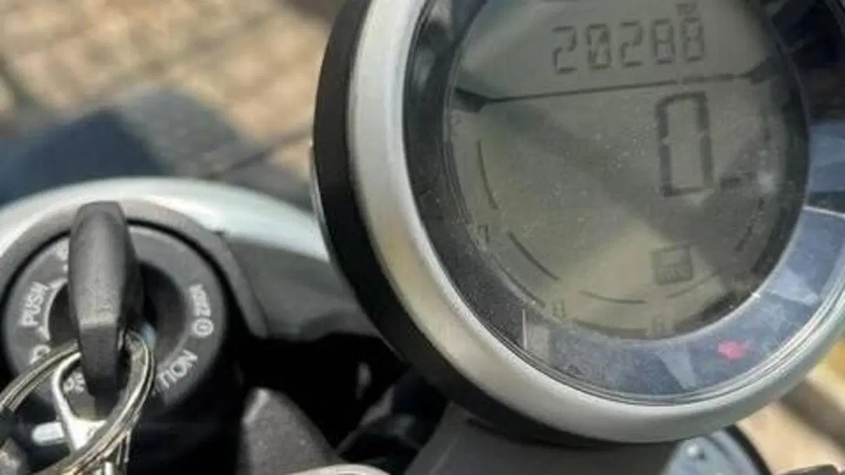 Ducati Scrambler 800 Classic (2017 - 18)  (9)