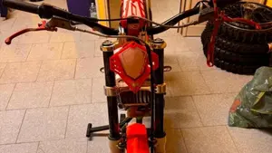 Betamotor Evo 300 2t (2012 - 16)  (6)