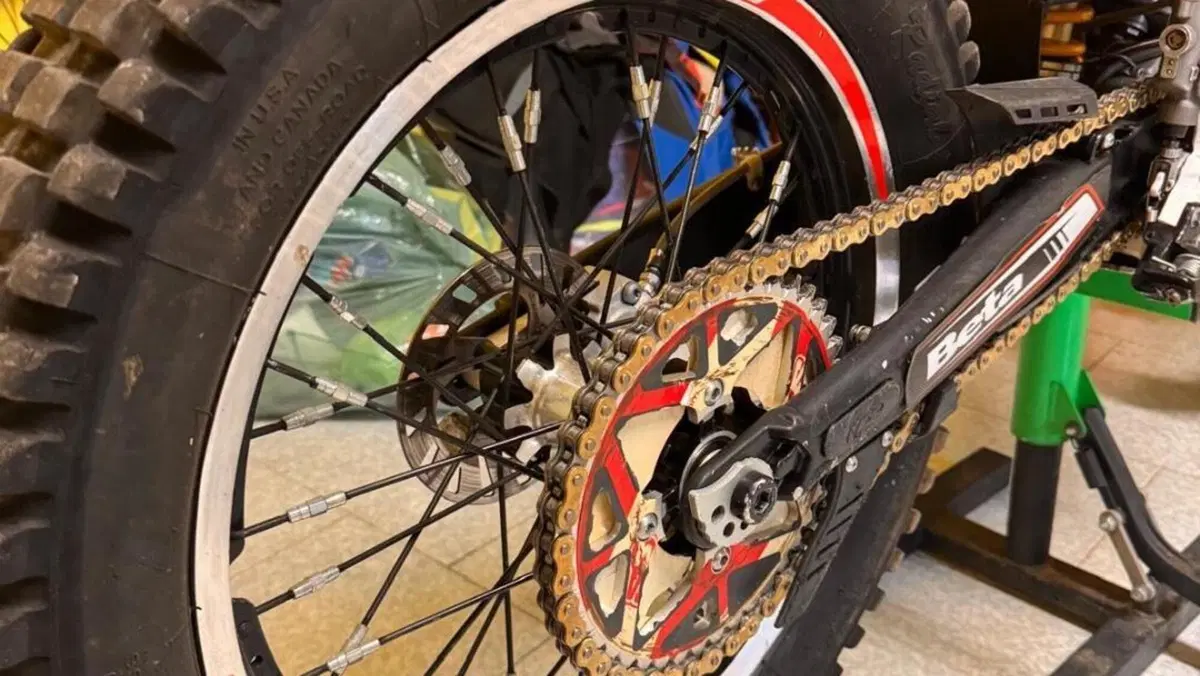 Betamotor Evo 300 2t (2012 - 16)  (7)
