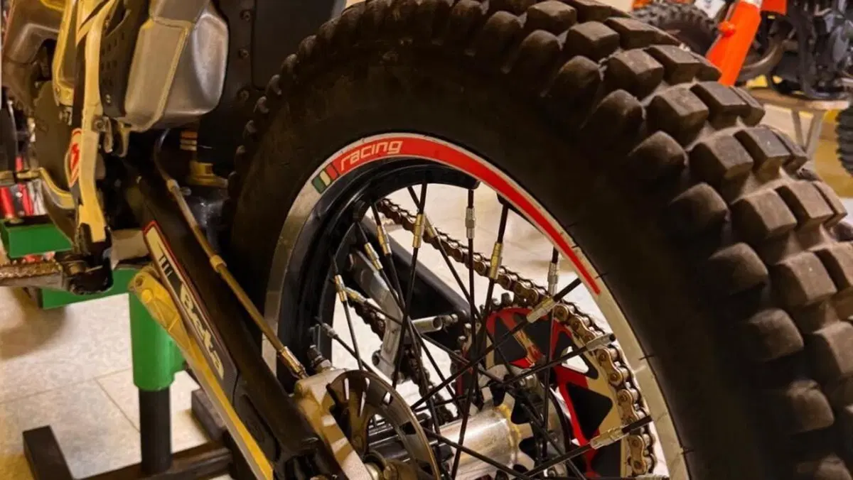 Betamotor Evo 300 2t (2012 - 16)  (8)