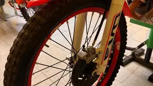 Betamotor Evo 300 2t (2012 - 16)  (9)