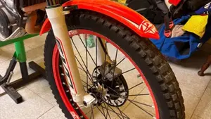 Betamotor Evo 300 2t (2012 - 16)  (10)