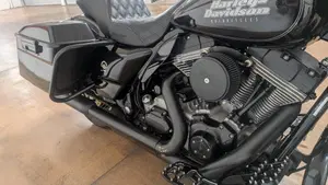 Harley-Davidson 1584 Electra Glide Standard (2008 - 10) - FLHT  (7)