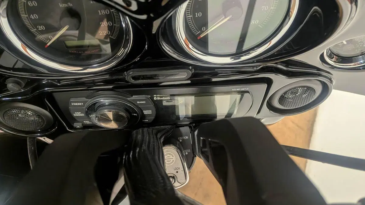 Harley-Davidson 1584 Electra Glide Standard (2008 - 10) - FLHT  (13)