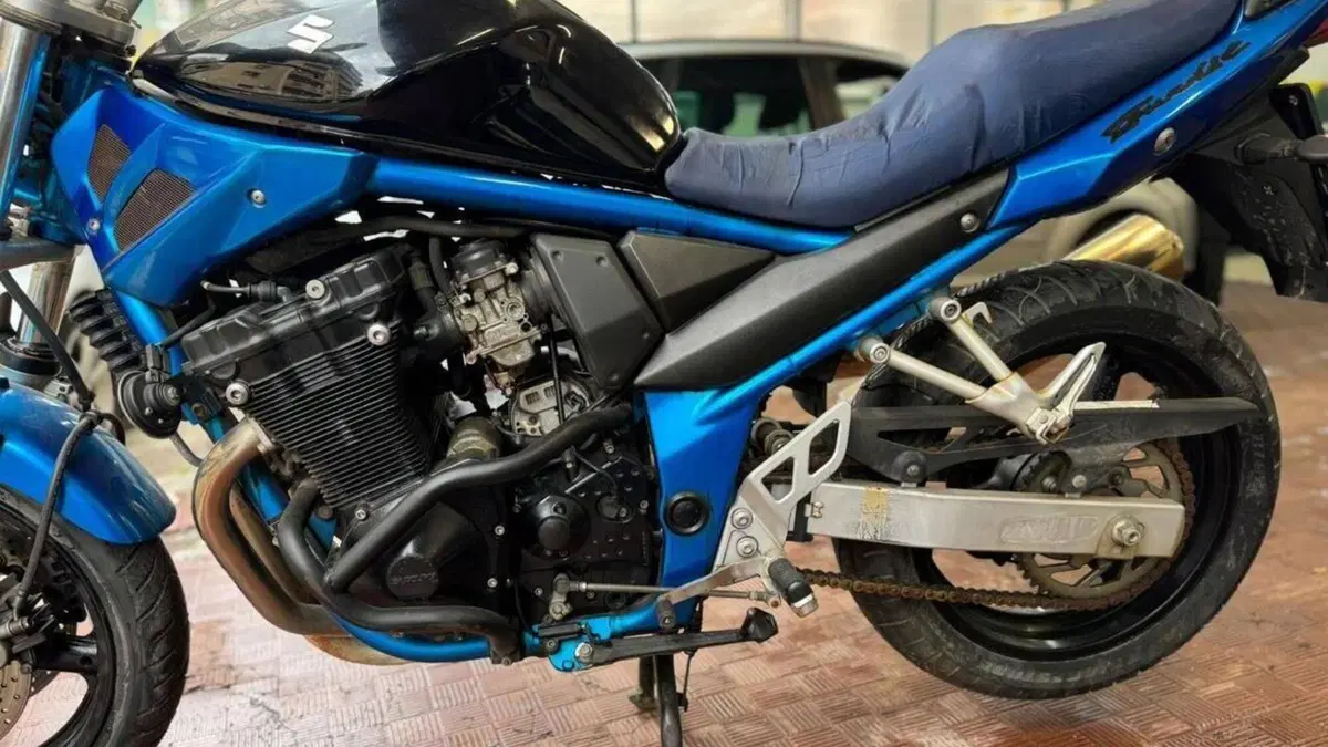 Suzuki GSF 650 Bandit (2006 - 11)  (6)