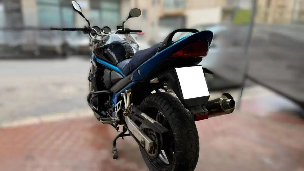 Suzuki GSF 650 Bandit (2006 - 11)  (7)