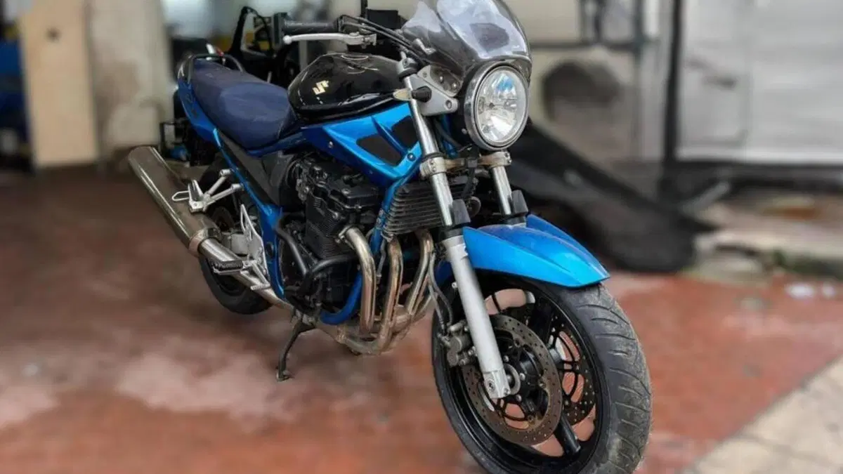 Suzuki GSF 650 Bandit (2006 - 11)  (8)
