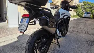 Triumph Tiger 900 GT Pro (2024 - 26)  (6)