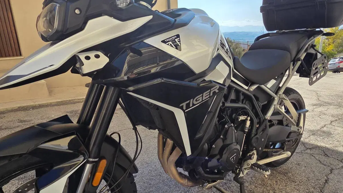 Triumph Tiger 900 GT Pro (2024 - 26)  (8)
