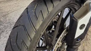 Triumph Tiger 900 GT Pro (2024 - 26)  (14)