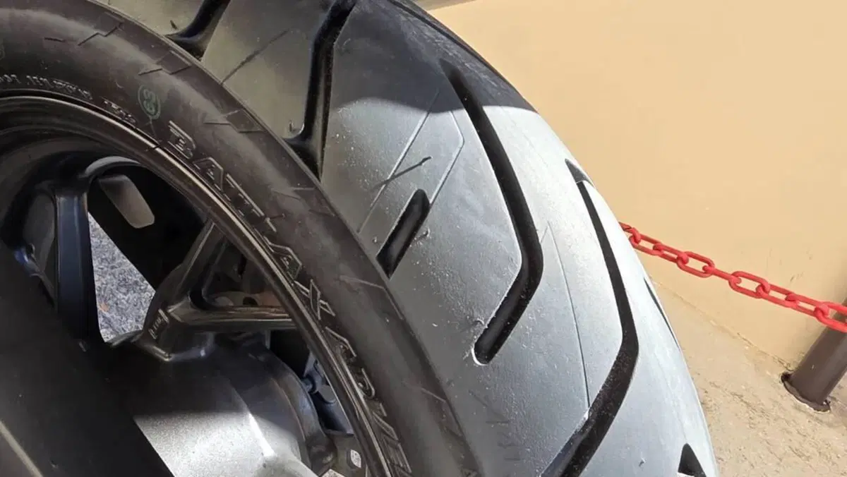 Triumph Tiger 900 GT Pro (2024 - 26)  (15)