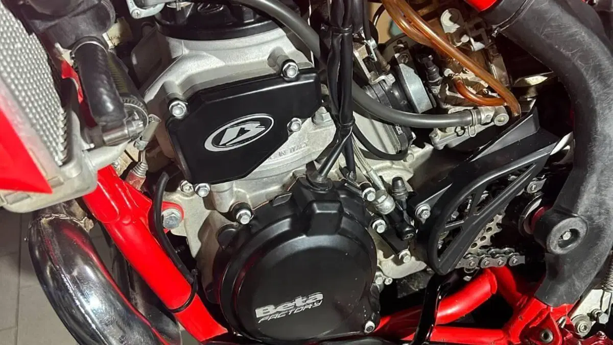 Betamotor Xtrainer 300 2t (2015 - 16)  (6)