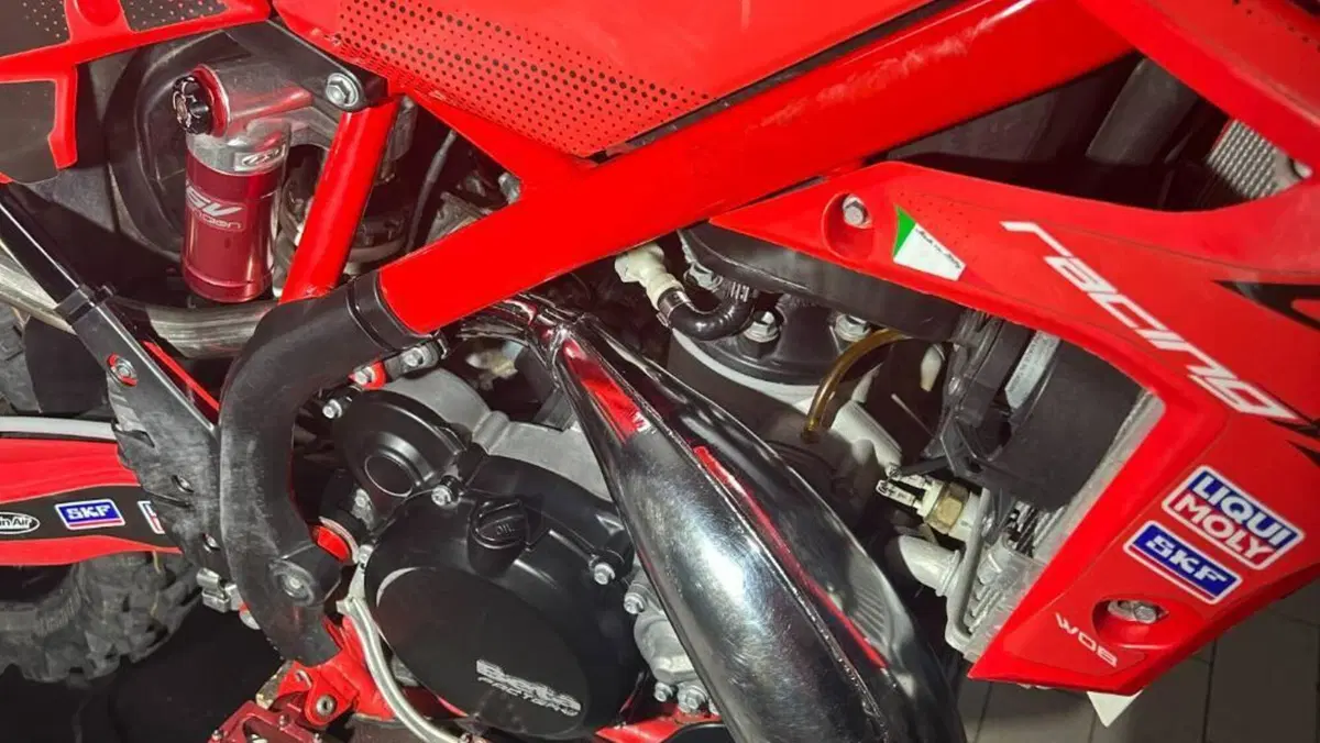 Betamotor Xtrainer 300 2t (2015 - 16)  (7)