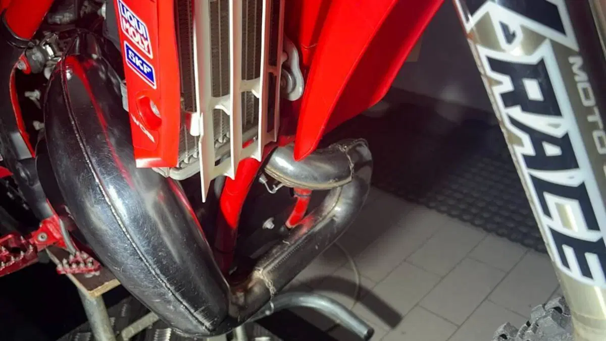 Betamotor Xtrainer 300 2t (2015 - 16)  (10)