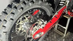 Betamotor Xtrainer 300 2t (2015 - 16)  (11)