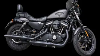 Harley-Davidson 883 Iron (2014 - 16) - XL 883N