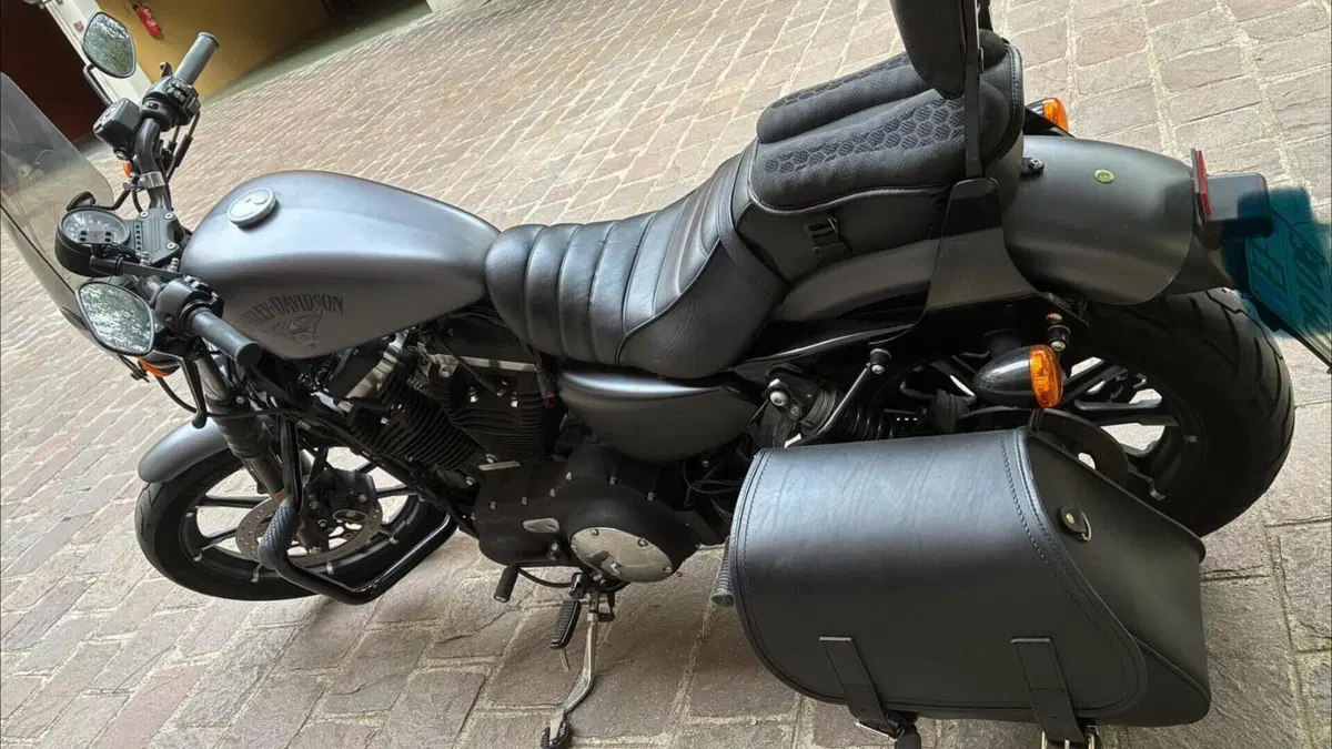 Harley-Davidson 883 Iron (2014 - 16) - XL 883N  (2)