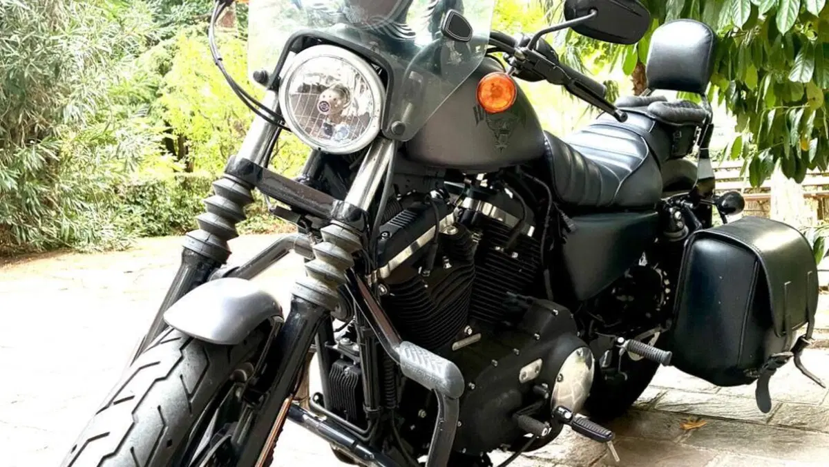 Harley-Davidson 883 Iron (2014 - 16) - XL 883N  (5)