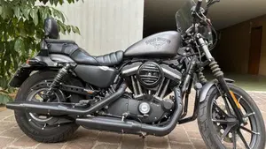 Harley-Davidson 883 Iron (2014 - 16) - XL 883N  (6)