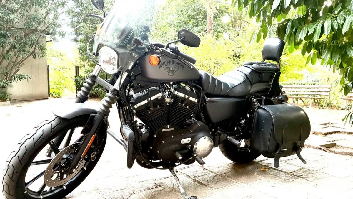 Harley-Davidson 883 Iron (2014 - 16) - XL 883N  (7)