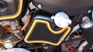 Ajs   (17)