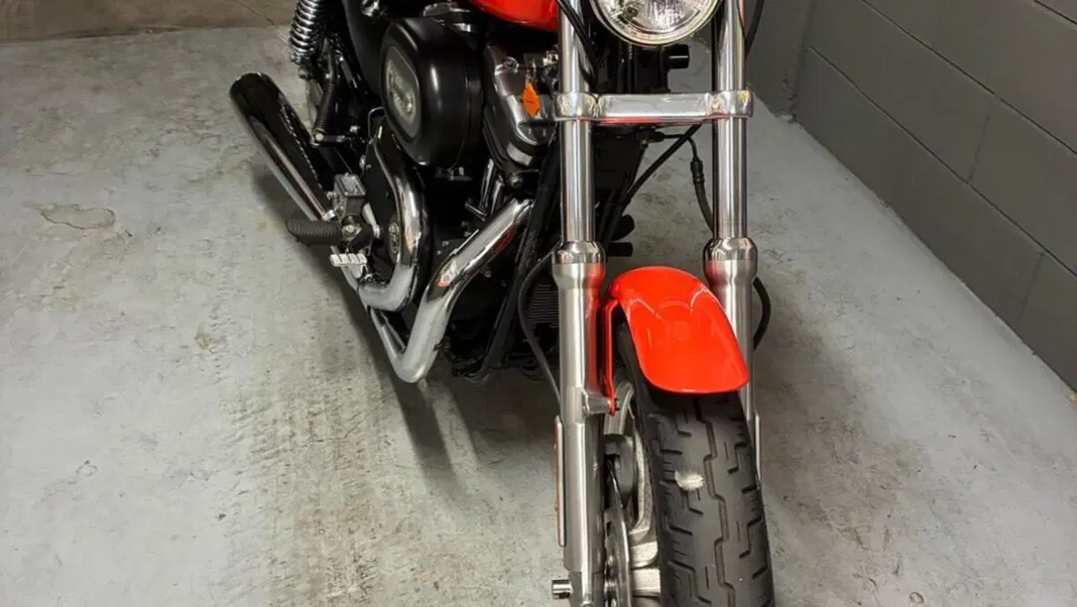 Harley-Davidson 883 R (2002 - 03) - XL 883R  (2)