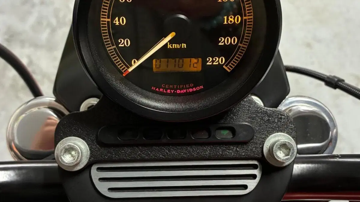 Harley-Davidson 883 R (2002 - 03) - XL 883R  (4)