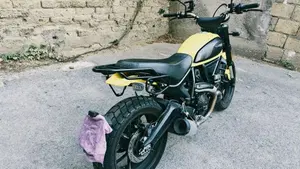 Ducati Scrambler 800 Icon (2021 - 22)  (3)